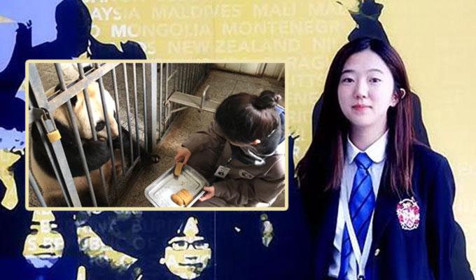 sylvia-huang Veterinary Sylvia Huang