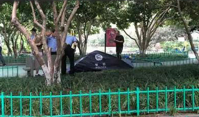 Brutal Stabbing in Hangzhou Park Leaves Woman Instantly Dead | The ...