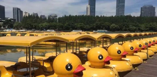 Nanjing people are obsessed by ducks. Image courtesy Nanjing Parent Child Weekend.