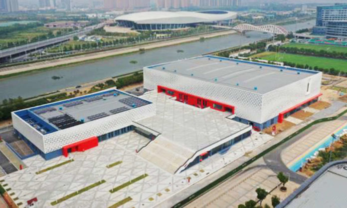 The Nanjinger - WANTED Mascot for Nanjing World IAAF Indoor Championships