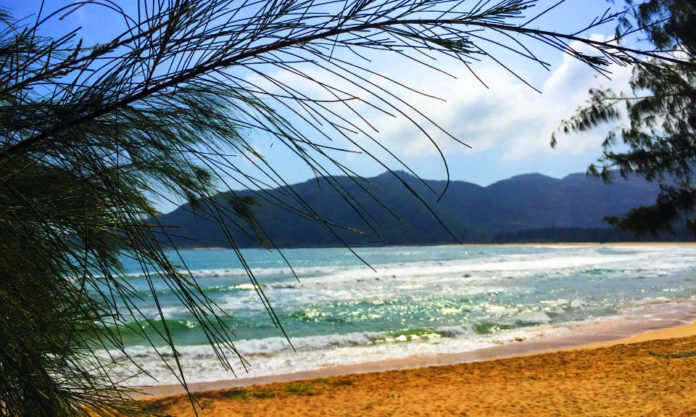 The Nanjinger - “Look & Drink” Tops May Day Deals Sanya Bookings at 2019 Levels