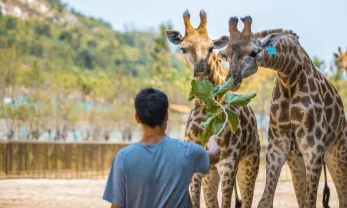 The Nanjinger - Free Entry Days Announced for 18 Nanjing Scenic Spots