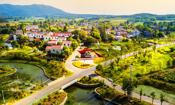 The Nanjinger - Berries Help Nanjing Win “China Beautiful Leisure Village” Award