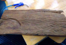 The Nanjinger - Arcade Perfect; The Pac-Man Tea Connection