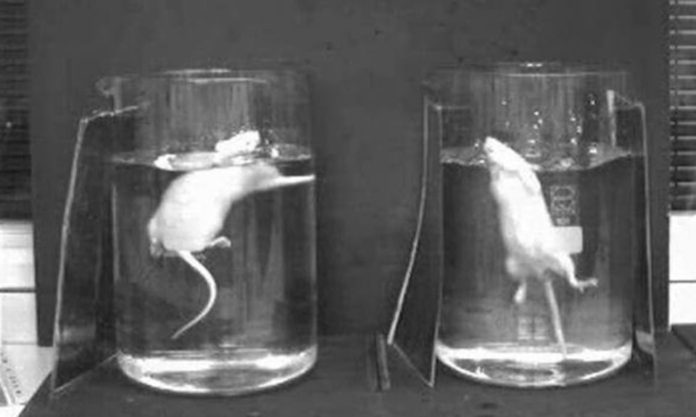 The Nanjinger - Sperm May Help Fight Depression Says Nanjing University Study The Nanjinger - Sperm May Help Fight Depression Says Nanjing University Study