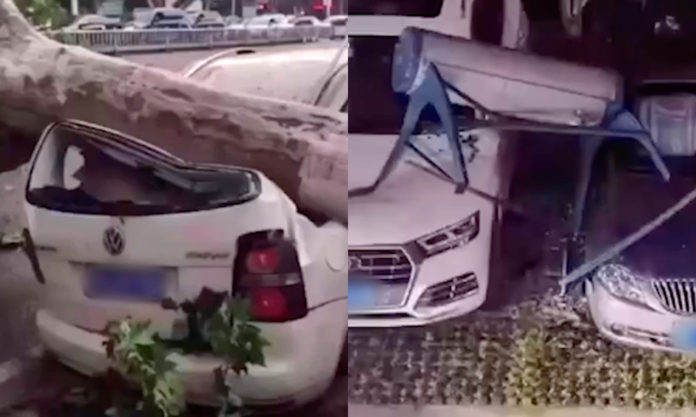 The Nanjinger - 11 Dead, Hundreds Injured & Thousands Evacuated in Holiday Winds