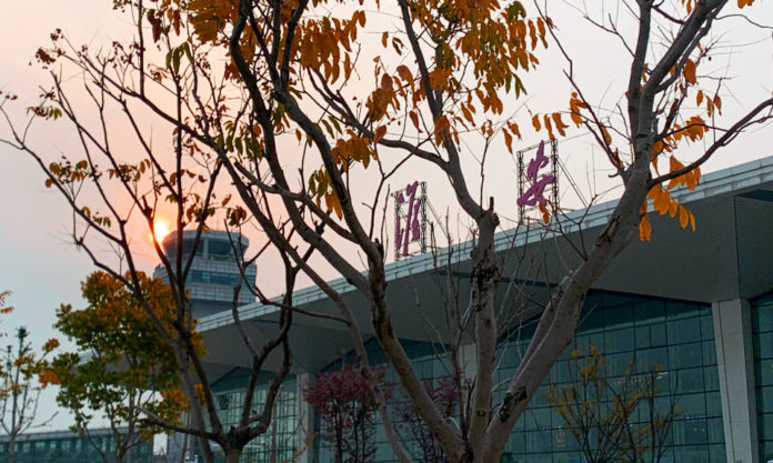 The Nanjinger - Fired! Airport Chairman & 4 Others Disciplined for COVID Failure The Nanjinger - Fired! Airport Chairman & 4 Others Disciplined for COVID Failure