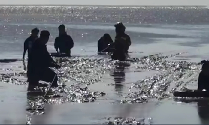 The Nanjinger - Quicksand Rescue! 5 Tourists’ Lives Saved from Incoming Tide