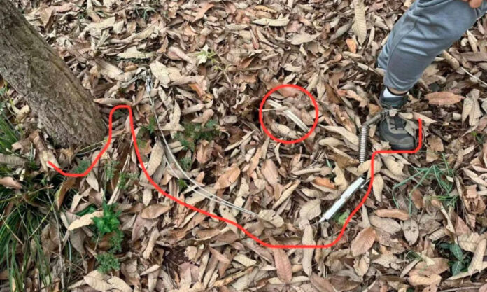 The Nanjinger - Beware Animal Traps; Hikers’ Feet Snared on Mountains in Nanjing