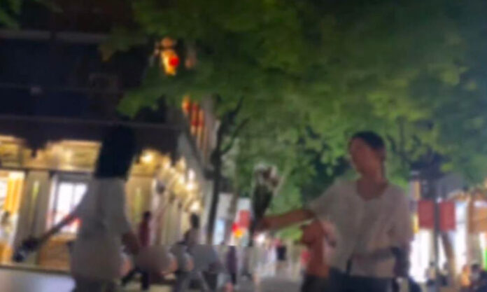 The Nanjinger - Kids Forced to Make Tourists Buy Overpriced Flowers in Fuzimiao