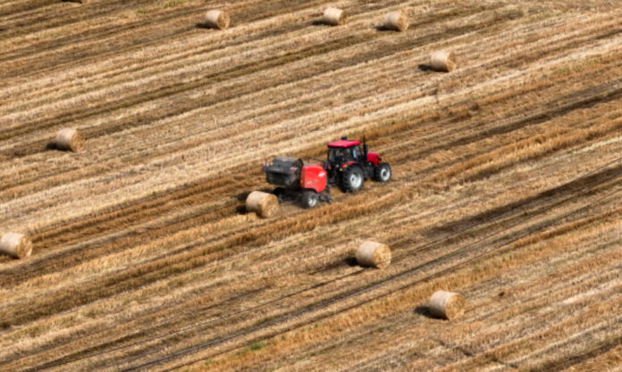The Nanjinger - Beat the Weather; Jiangsu Goes All out to Complete Summer Harvest