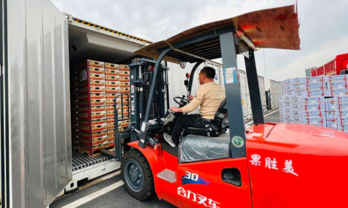 The Nanjinger - Nanjing’s “Cold Chain Rubik’s Cube” Passes National Accreditation