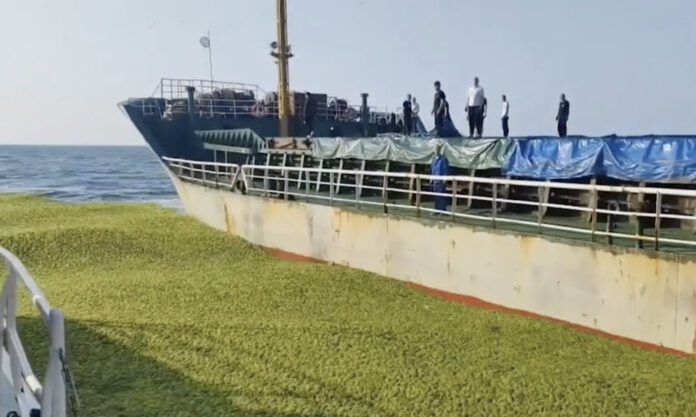 The Nanjinger - Yancheng Seizes 5,000 Tonnes of Smuggled Coal on High Seas