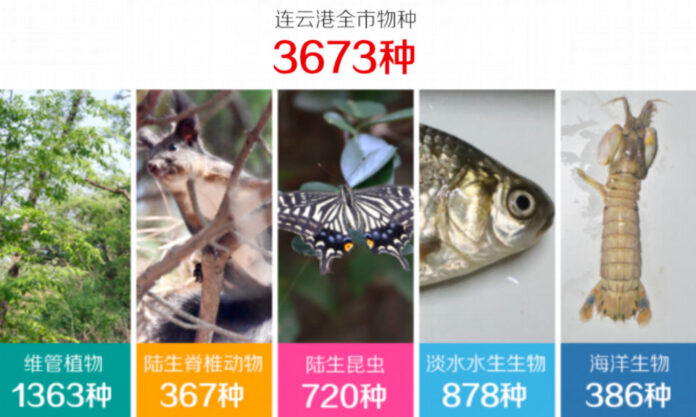 The Nanjinger - Biodiversity Conservation Plan Released for Lianyungang