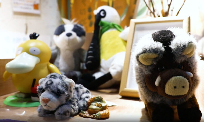 The Nanjinger - Nanjing Hongshan Zoo Sells ¥5 Million Worth of Cultural & Creative Works
