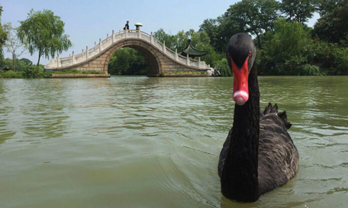 The Nanjinger - Yangzhou Unlocks New 1 & 2 Day Tours for Summer Holidaymakers