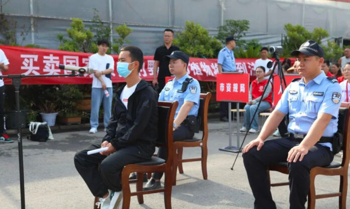 The Nanjinger - Suqian Man Sells 220,000 Orchids; Jailed for Endangering Protected Plants The Nanjinger - Suqian Man Sells 220,000 Orchids; Jailed for Endangering Protected Plants