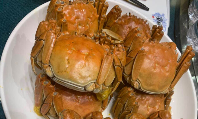 The Nanjinger - Bumper Harvest Pushes Zhenjiang Crab Prices Down by up to 36%