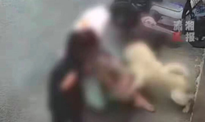 The Nanjinger - Dog Goes Berserk in Yancheng; Lady Hospitalised with Severe Bites to Face