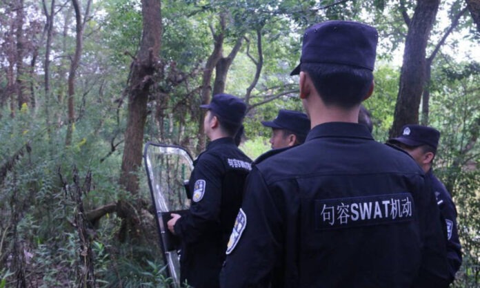The Nanjinger - Escaped Deer Shot Dead by Police after Injuring Villager in Zhenjiang
