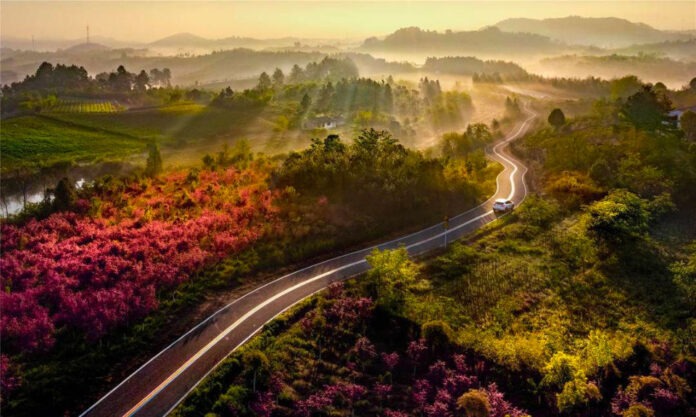 The Nanjinger - Road in Changzhou rated as Top 10 in China for Beauty & Tourism
