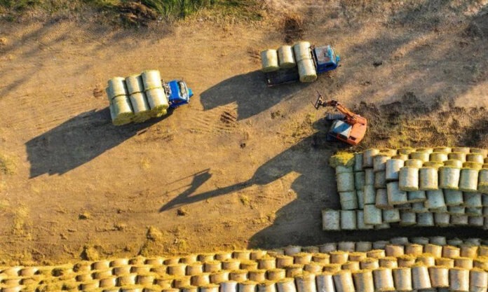 The Nanjinger - Lianyungang County Eliminates Stubble Burning to Turn it into Treasure