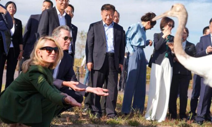 The Nanjinger - What on Earth did Governor of California Want with Yancheng?