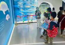 The Nanjinger - ¥0.5 Billion Fine Builds Finless Porpoise Protection Centre