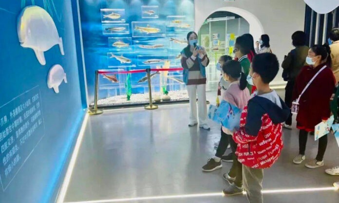 The Nanjinger - ¥0.5 Billion Fine Builds Finless Porpoise Protection Centre