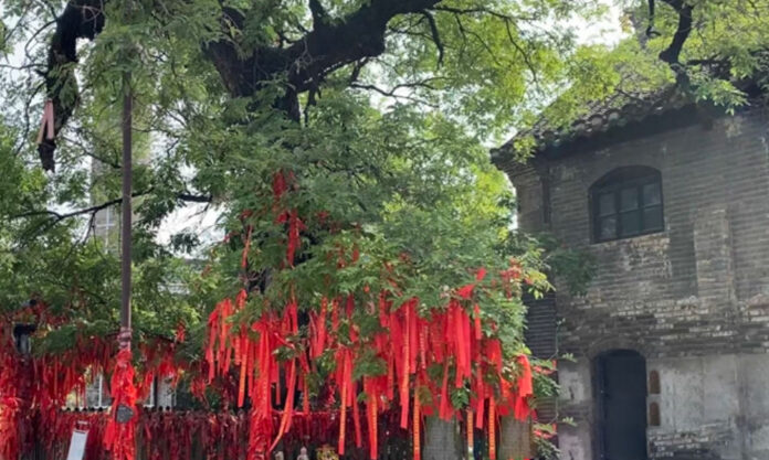 The Nanjinger - 200 Shops Now Open in Restored Grand Canal Ancient Town in Xuzhou
