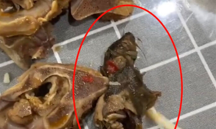 The Nanjinger - Rat Found in Mutton & Scorpion Hot Pot Takeout Delivered in Yancheng