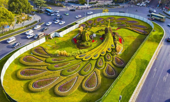 The Nanjinger - Renovated Peacock Makes its Reappearance in Nanjing’s Gulou Square