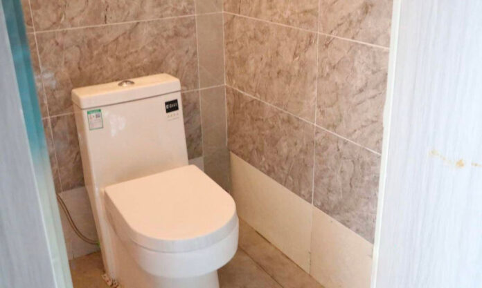 The Nanjinger - “Toilet Revolution” a Key to Rural Revitalisation in Lianyungang