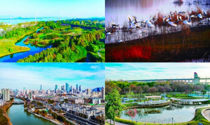 The Nanjinger - Bluer Skies, Clearer Waters; Nanjing’s Environmental Happiness Index on the up