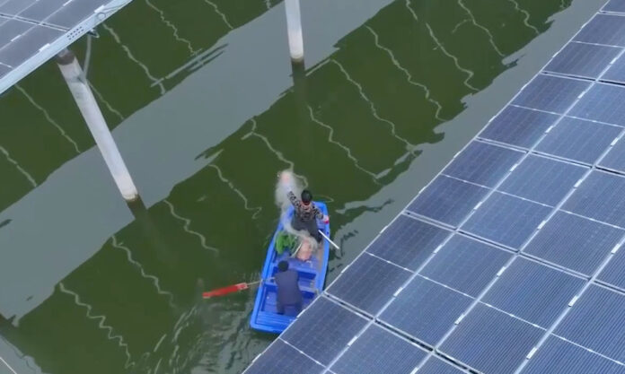 The Nanjinger - Bumper Harvest for “Solar Fishermen” in Xuzhou