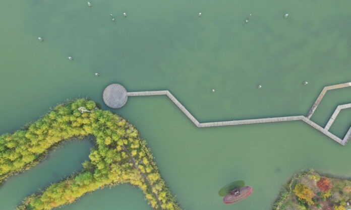 The Nanjinger - Lake Tai’s 2023 Environmental Report Card Released; Now Cleaner than Ever