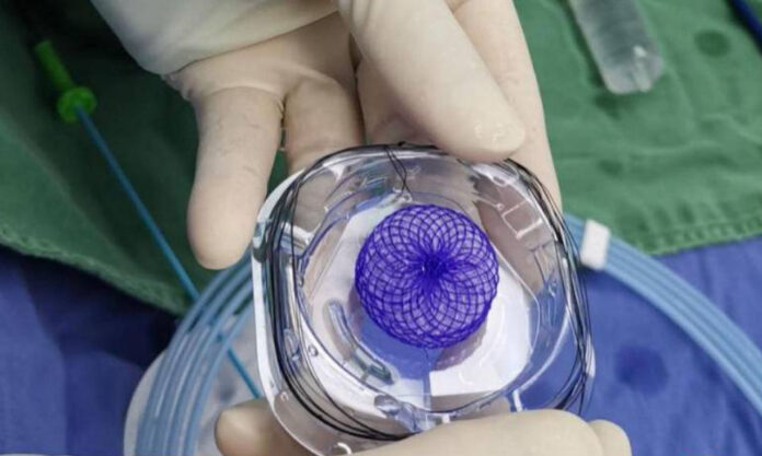 The Nanjinger - Hole in Changzhou Lady’s Heart Filled by Groundbreaking Biodegradable Material