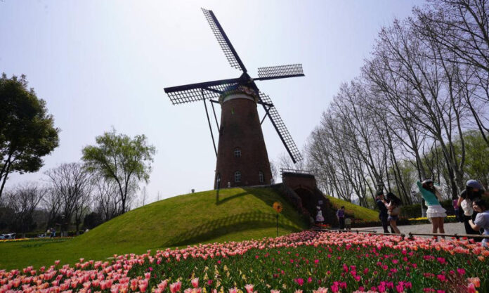 The Nanjinger - Tens of Thousands of Tulips in Full Bloom in Nanjing Green Expo Garden