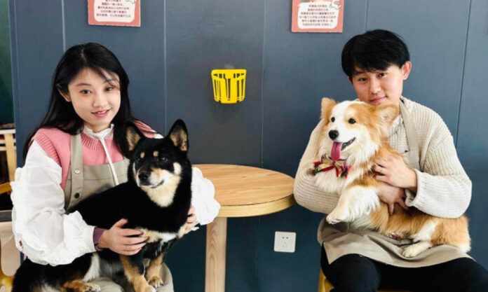 The Nanjinger - Xuzhou Couple Open 2 Cafes; One for Stray Cats, One for Stray Dogs