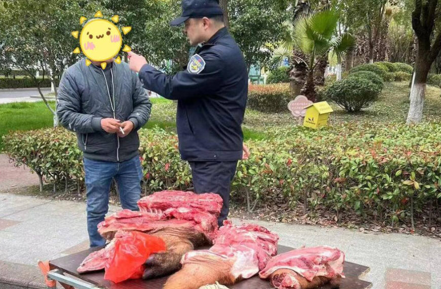 The Nanjinger - Banned! Suzhou Cracks down on Mobile Pork Stalls Selling Wild Pig & Earth Pig