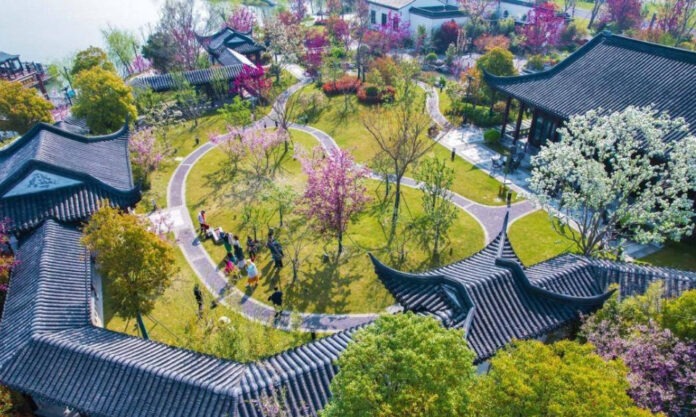 The Nanjinger - China’s Largest Crabapple Garden begins Blooming in Yancheng
