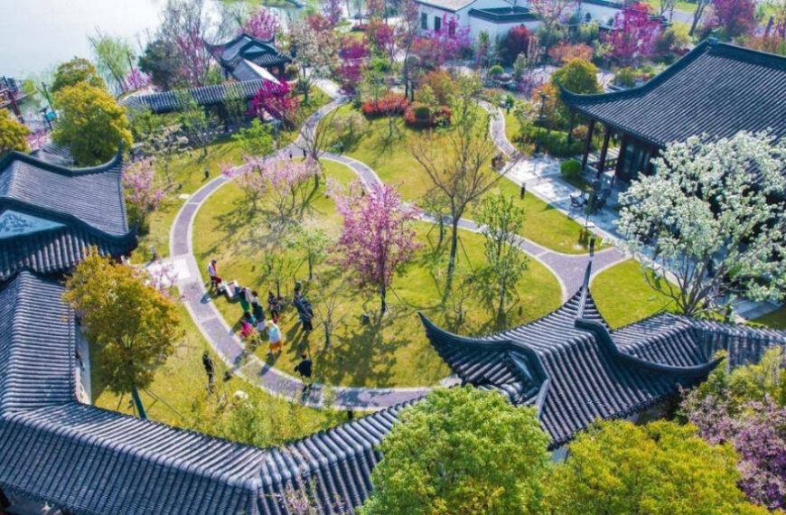 The Nanjinger - China’s Largest Crabapple Garden begins Blooming in Yancheng
