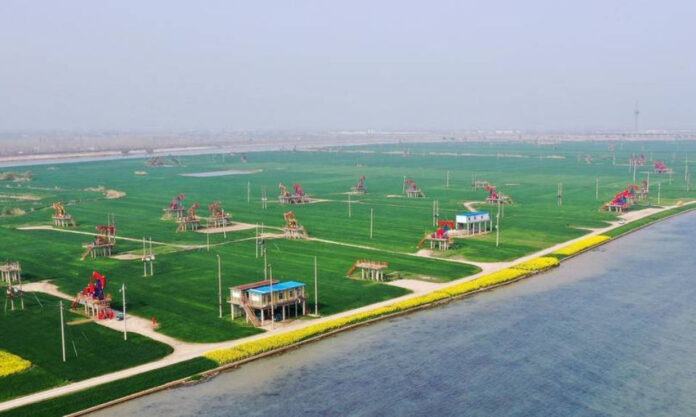 The Nanjinger - Green & Low Carbon Development Demonstration Area Set up in Jiangsu Oilfield