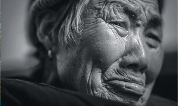 The Nanjinger - Liu Suzhen, Nanjing Massacre Survivor, Passes Away Aged 93; Now 35 Remain