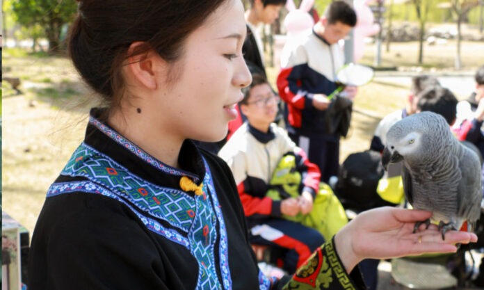 The Nanjinger - Parrot in Nantong Ignores Reeducation to Once Again Swear at Tourists