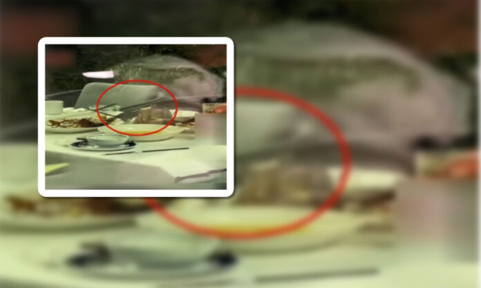 The Nanjinger - Rats Jump on Table of Restaurant in Nanjing Deli Plaza Eat to Leftovers