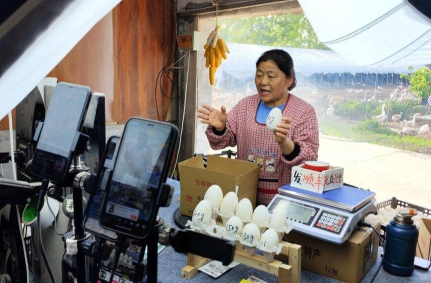 The Nanjinger - Laying Golden Eggs! Lianyungang “Goose Sister” Now Big Time Businesswomen!