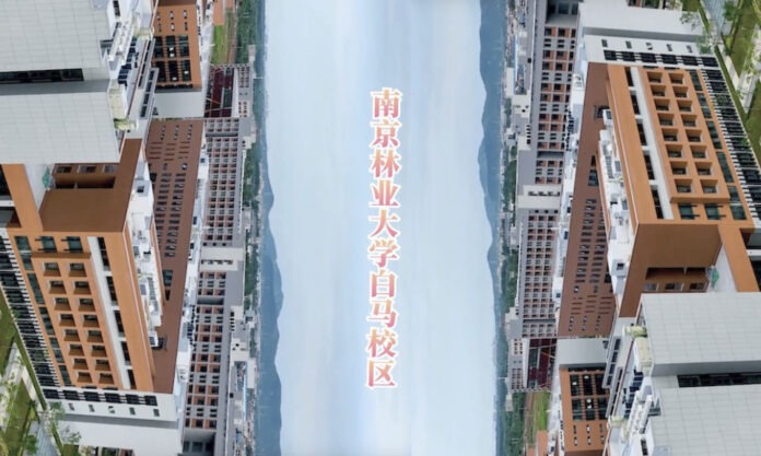 The Nanjinger - 100 Second Video Introduces New Nanjing Forestry University Campus to 2025 Cohort