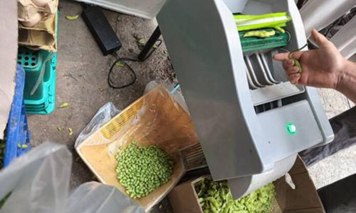 The Nanjinger - Ingenious Device for Peeling Edamame Appears in Nanjing Vegetable Market