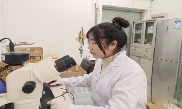 The Nanjinger - Yancheng Girl Picks up Bird S***; Published in Top Environmental Science Journal